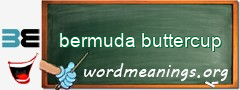 WordMeaning blackboard for bermuda buttercup
